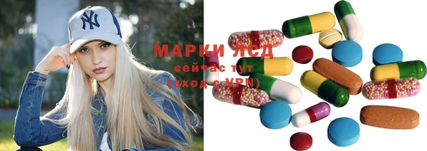 прущие грибы Алексин