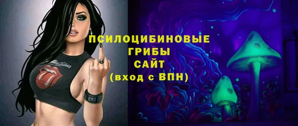 прущие грибы Алексин