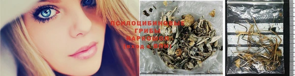 индика Алзамай