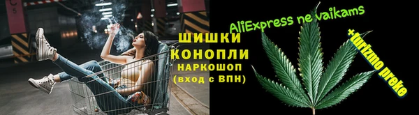 прущие грибы Алексин