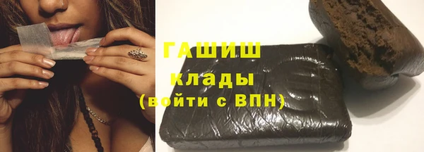 индика Алзамай