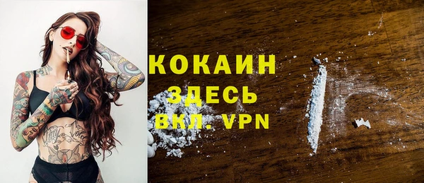 индика Алзамай