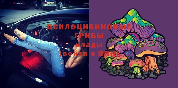 прущие грибы Алексин