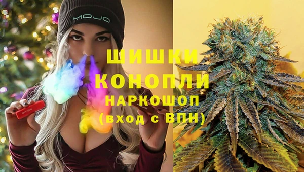 индика Алзамай